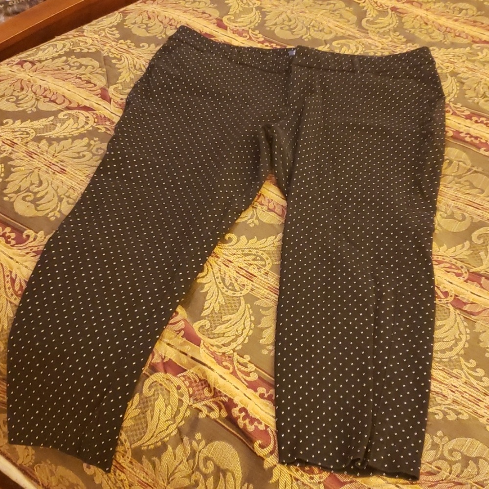 Ankle Length Pixie Pant